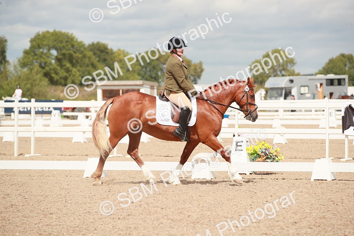 SBM_05862 - Class 32 - Novice 1