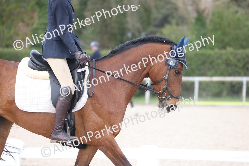 20260404-0898 - Class 5 - Novice 2