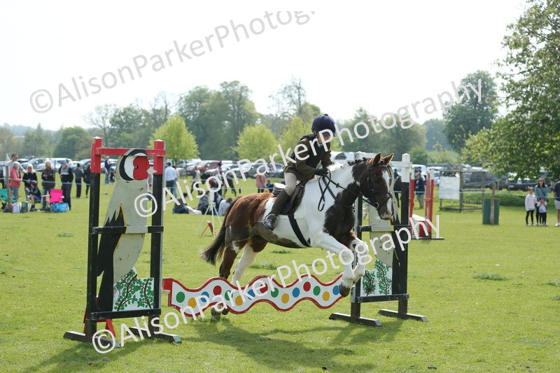 20260426-1598 - Class 14 - Novice 60cm
