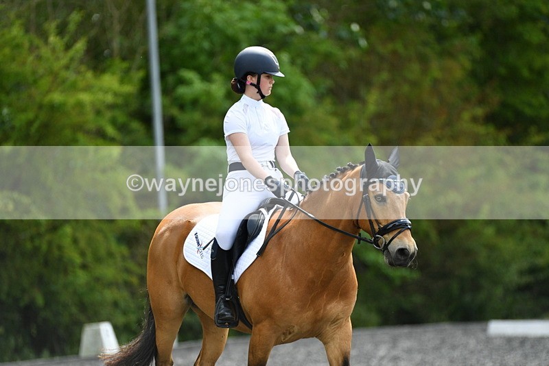 WJ5_1015 - Time 13:45 to 14:20