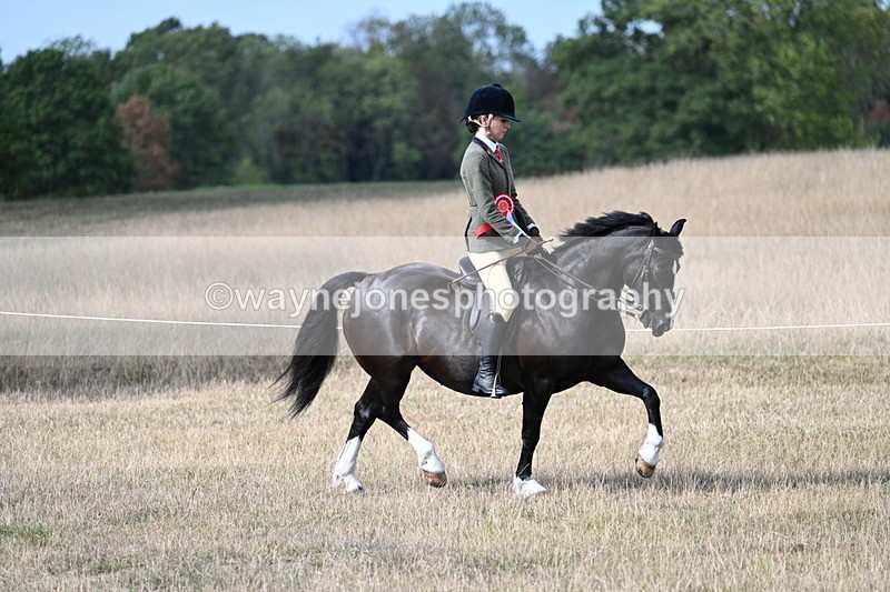 WJ7_7611 - Ridden Championship