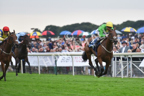 yr22072022r5-25 - Race 5 7.20pm British Stallion Studs EBF Lyric Fillies' Stakes