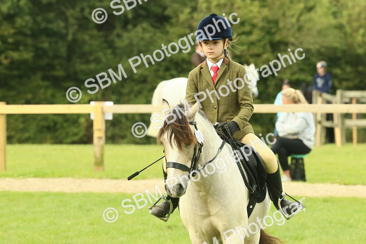 SBM_69941 - S59 - Mountain & Moorland Ridden Small Breeds