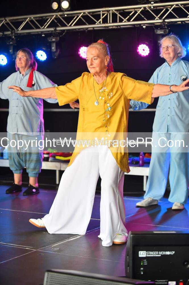 SH4_1360 - Tai Chi with Lisa Kay.