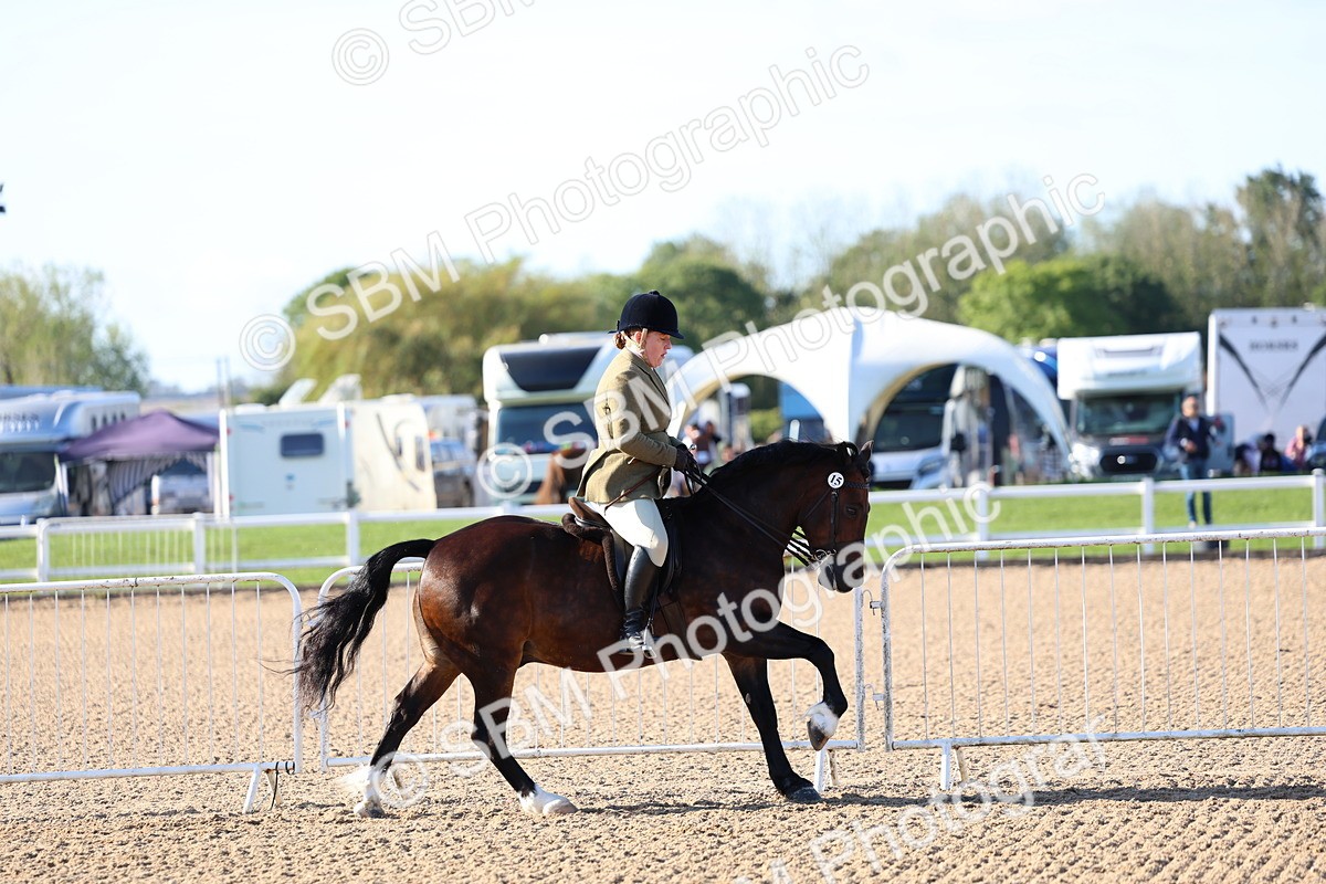 SBM_08774 - Class 302 - Ridden M&M - Large Breeds