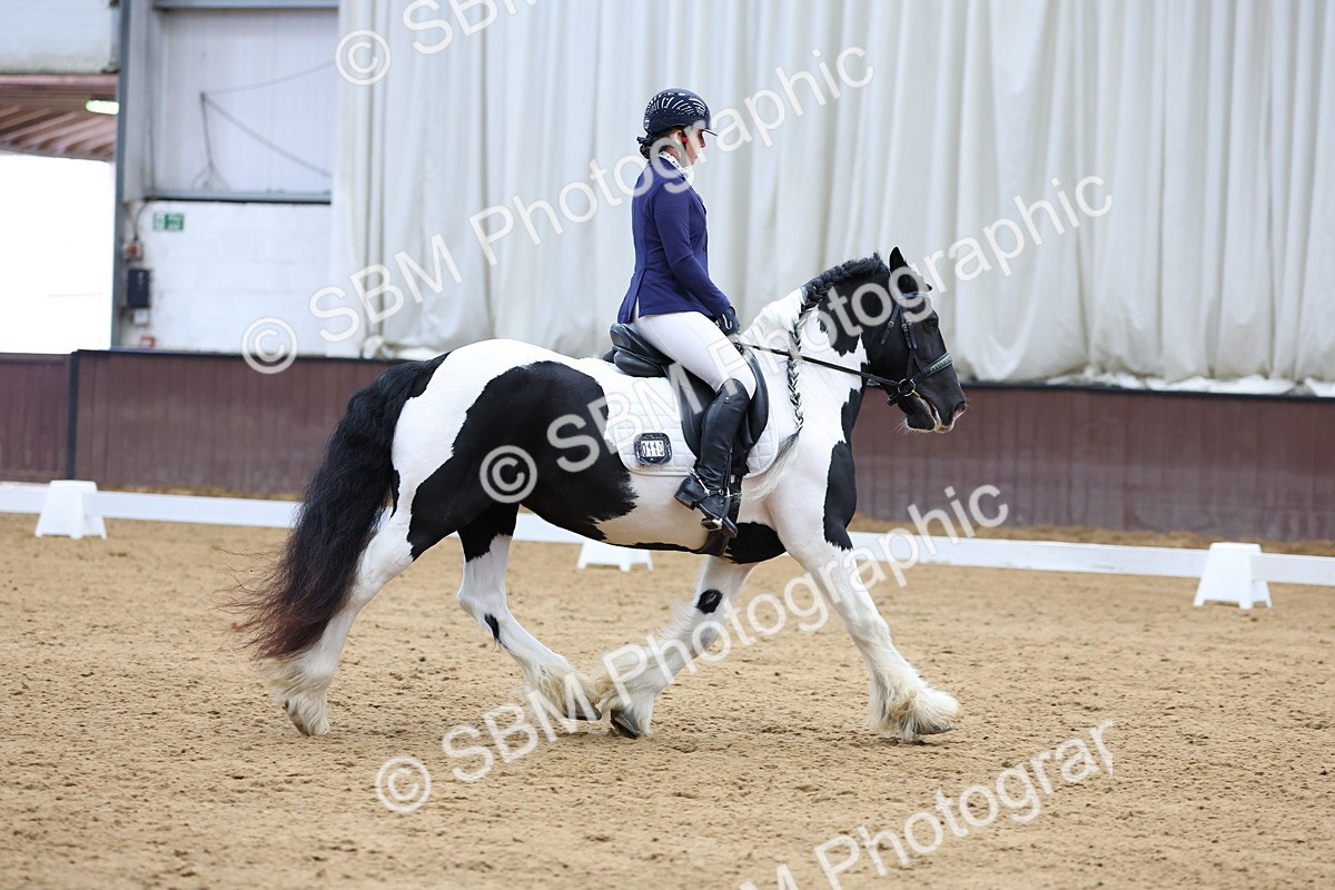 SBM_002266 - Novice 2