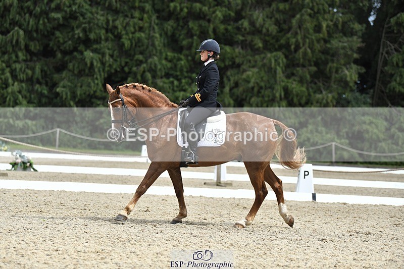 230812-141757-04656 - Cls 7 FEI PSG Bronze