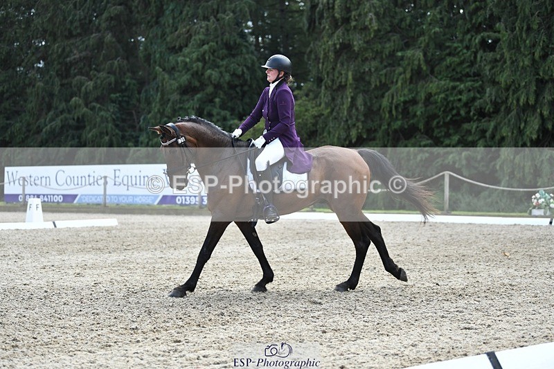 230812-134704-04501 - Cls 7 FEI PSG Bronze