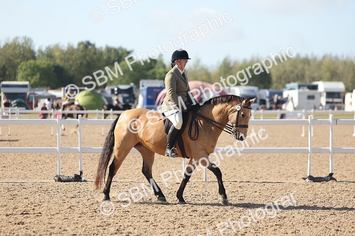 SBM_22613 - Class 804 - Ridden Veteran Pony
