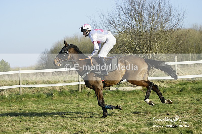 PtP 270222 470 - South & West Wilts Point-to-Point Larkhill 27/02/22