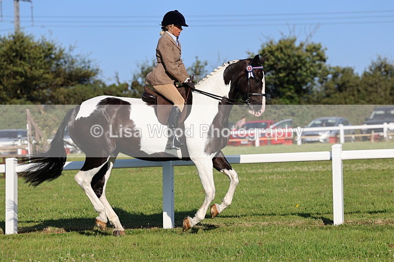 IMG_1223 - Class 27: Ridden Plaited Coloured Horse