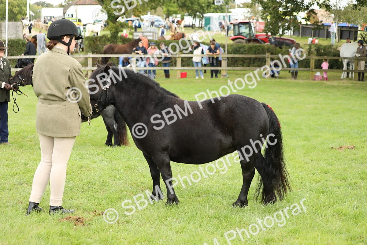 SBM_62780 - S46 - Mountain & Moorland In Hand Small Breeds