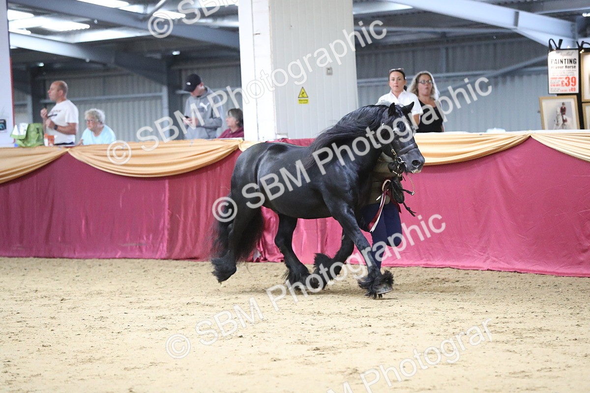 SBM_05072 - Class 8R- Regional -IH Veteran