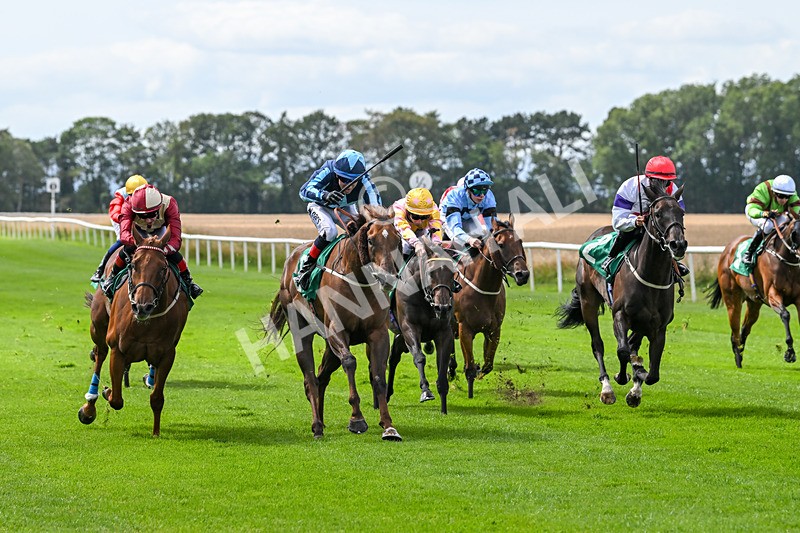 080825-Race 1-Golden Prosperity-1737 - Race 1