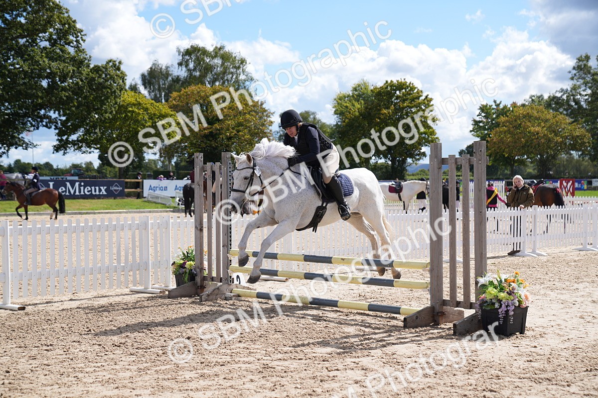 SBM_05137 - J35 Veteran 60cm Championship