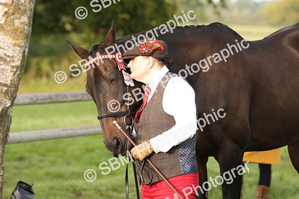 SBM_54988 - S52 - Riding Horse & Hack & thoroughbred In Hand