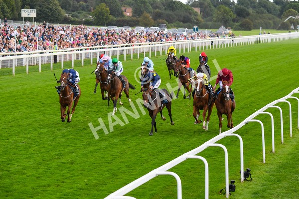 240823-Race 5-Sea Theme-0675 - Race 5 4.10pm British EBF & Sir Henry Cecil Galtres Stakes