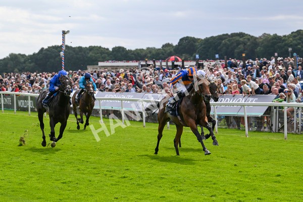 210824-Race 2-The Lion In Winter-4737 - Race 2 2.25pm Tattersalls Acomb Stakes