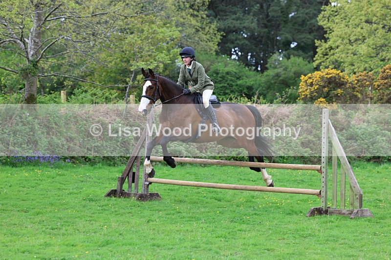 3E7A2486 - Classes 30 and 31: 80cm Working Hunter