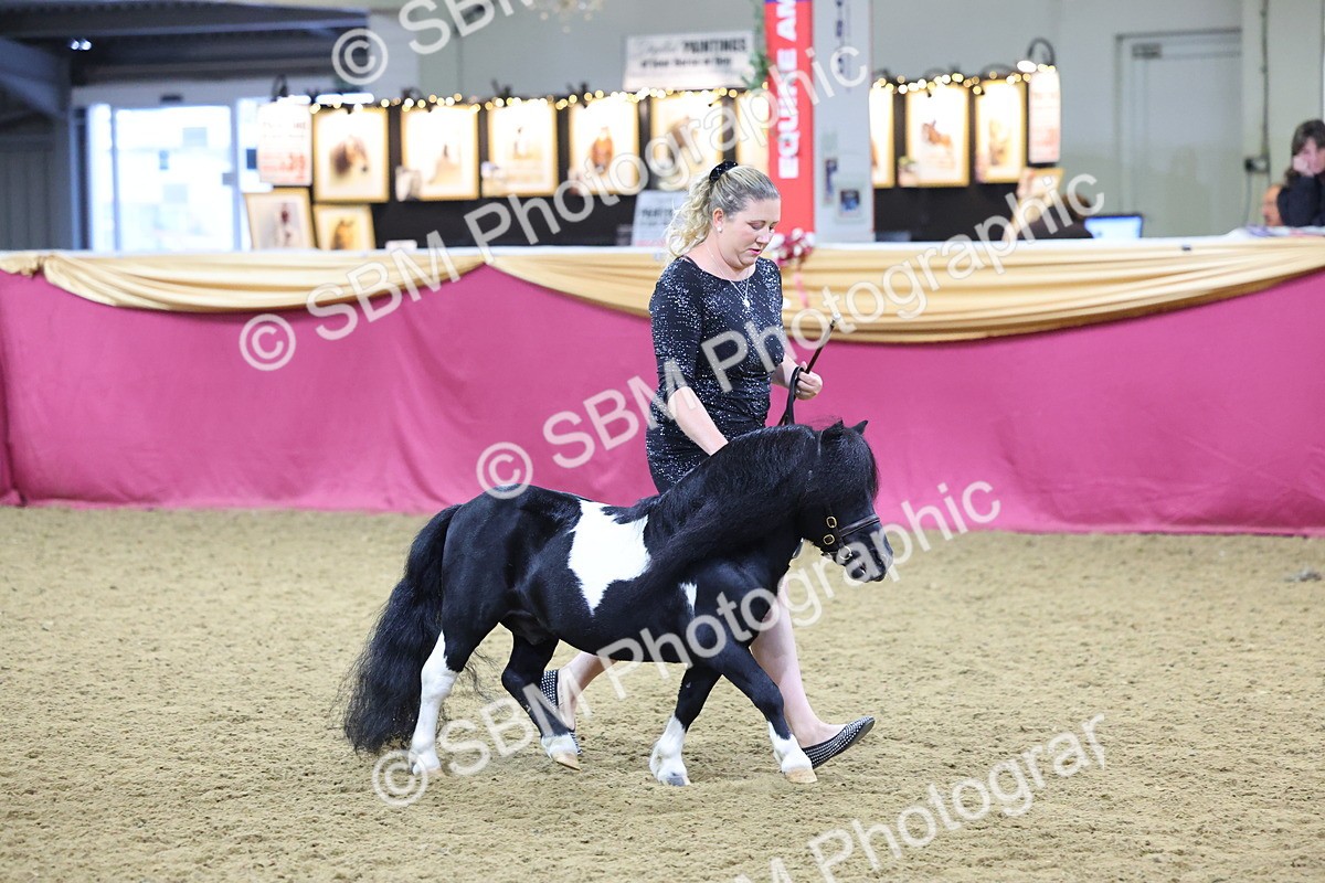 SBM_19226 - Class J Coloured Champ