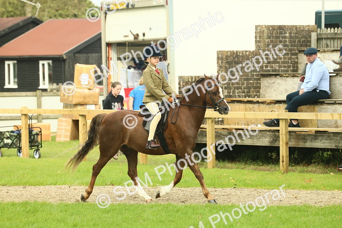 SBM_69895 - S59 - Mountain & Moorland Ridden Small Breeds