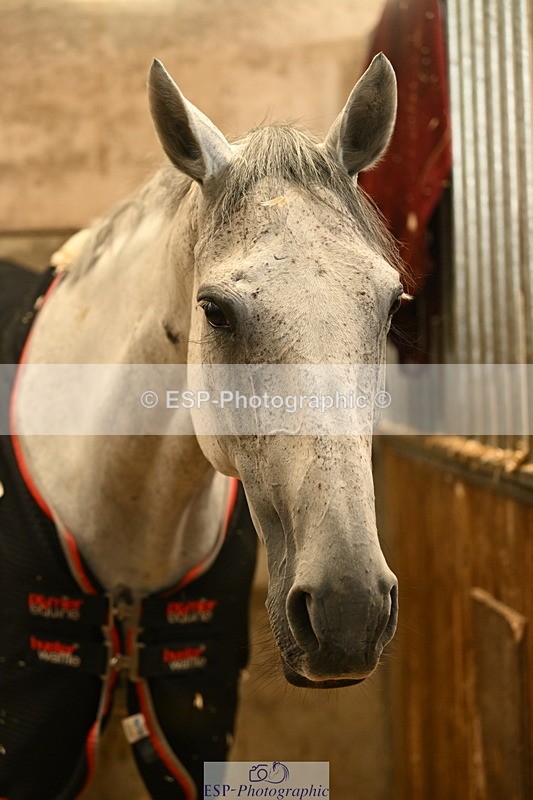 240809A-084527-00002 - Stable Shots