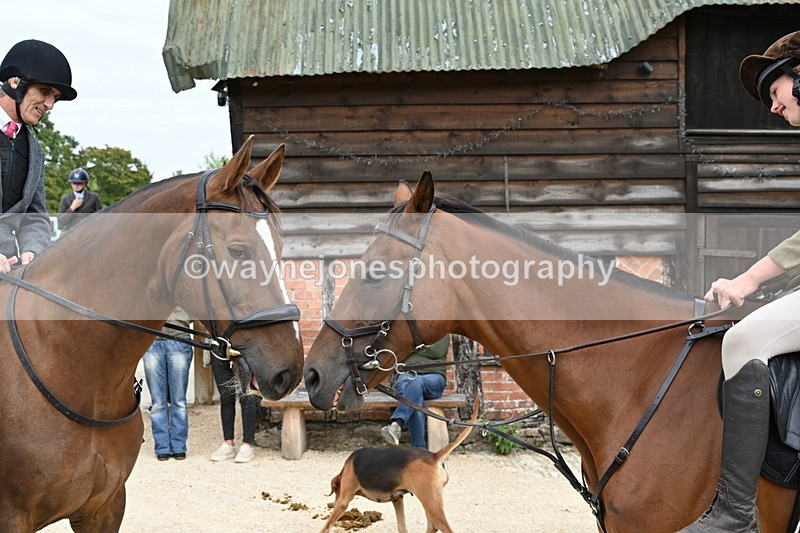 WJ6_3538 - Berks & Bucks - The Old farmhouse - Hound Exercise 20-08-25