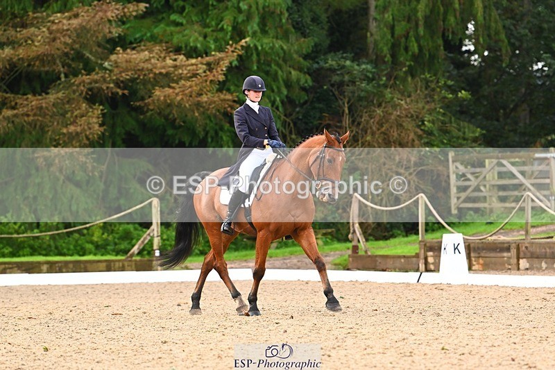 231021-093416-12850 - 327-ENSOR.VAN.HET.HELLEHOF-Francesca.Swallow-DR