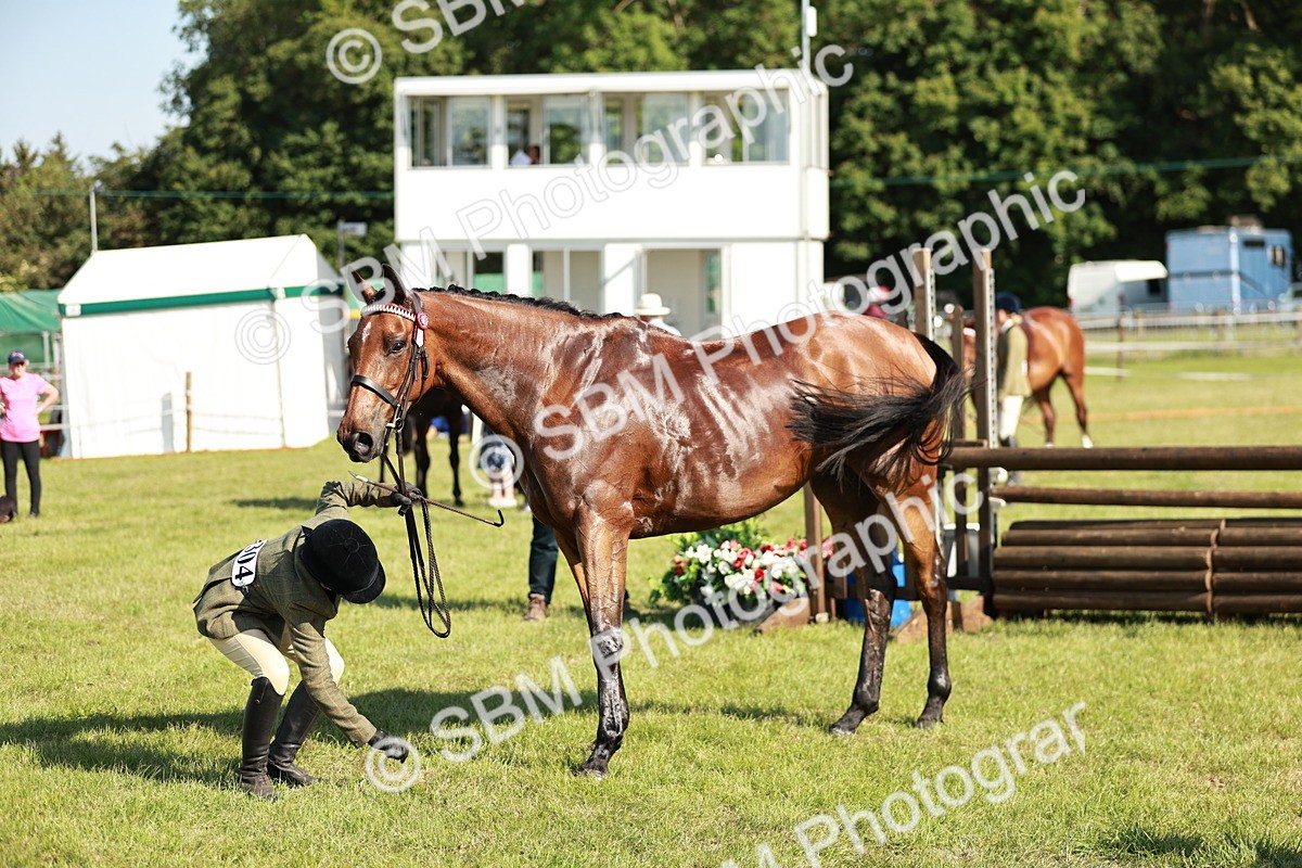 SBM_19278 - Class 115-116 - LIHS BSHA Rising Star Working Hunter & Show Horse