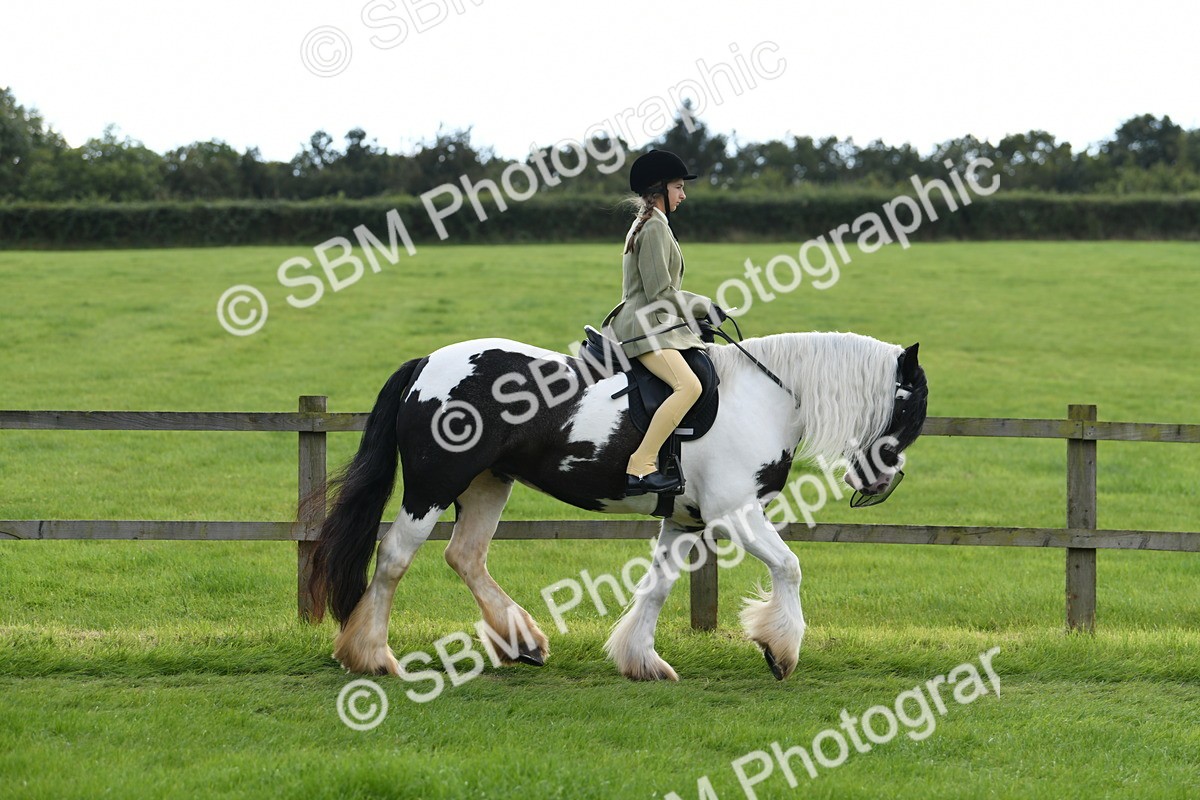 SBM_46722 - S12 - Family Horse & Pony