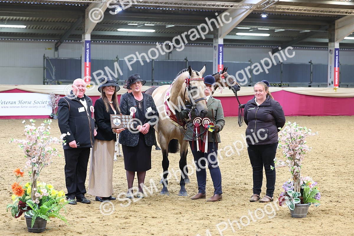 SBM_21196 - Class 902 - Supreme Final IH Veteran