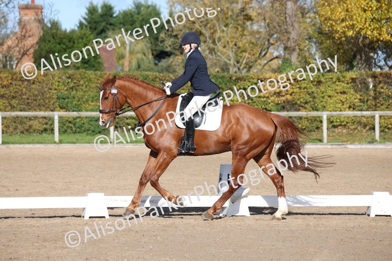 20251102-0711 - Class 4 - Novice 6