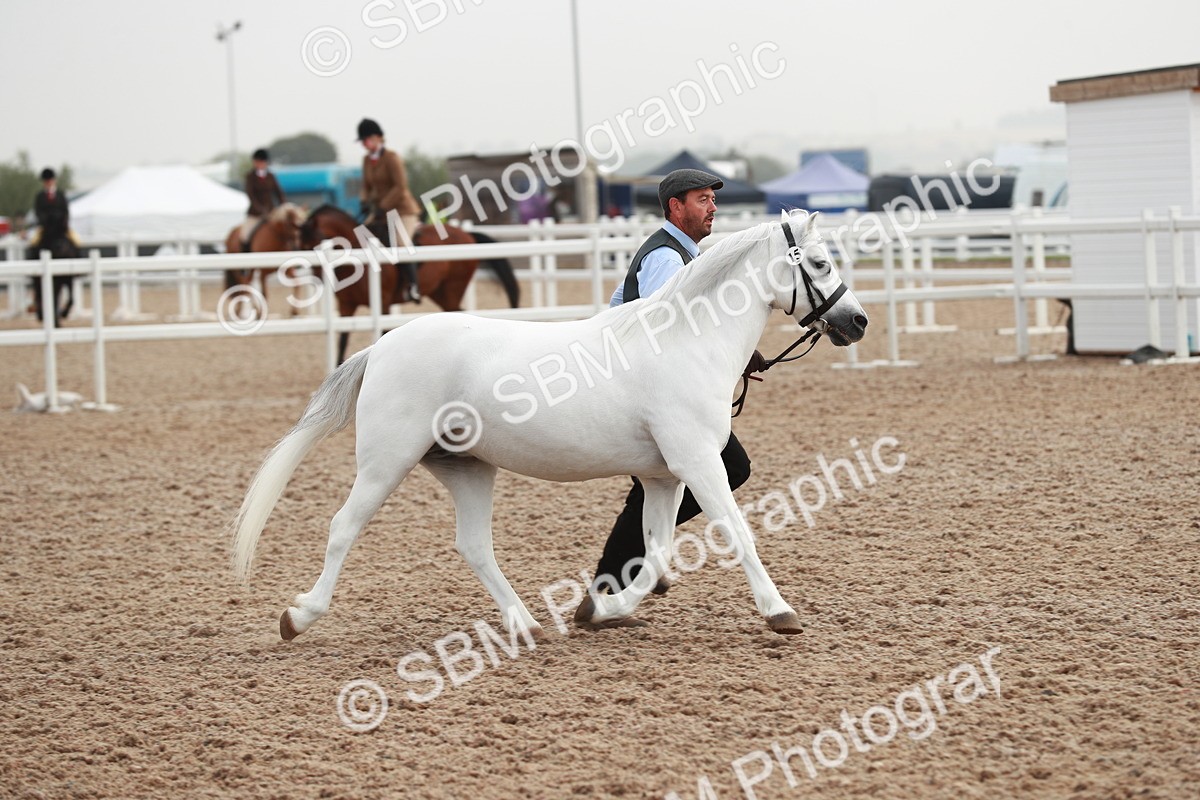 SBM_09598 - Class 201 Best Turned Out IH