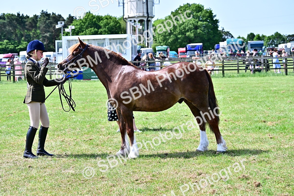SBM_03871 - Class 58 - TSR  Ridden Veteran Amateur of the year