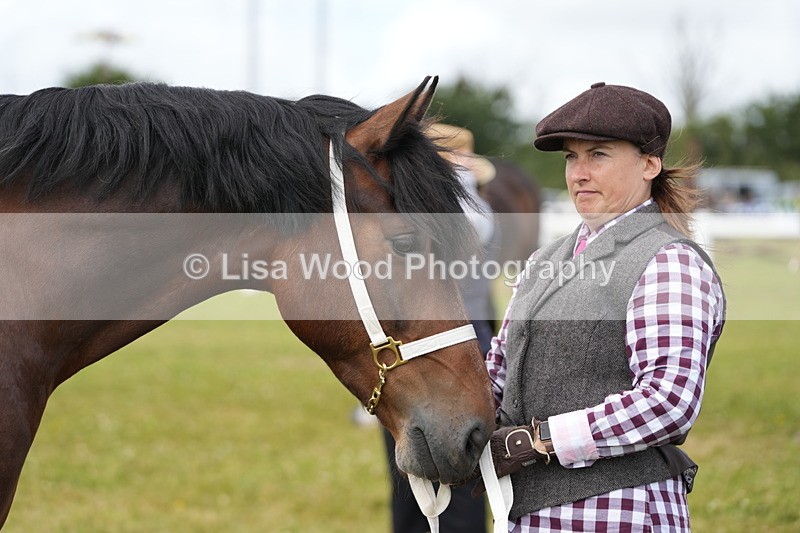 DSC05839 - Class 51: NPS M&M 4 years and over Large Breeds