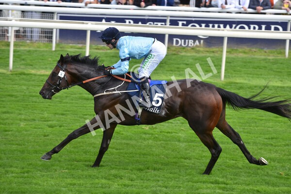 yr18082021r2-27 - Race 2 2.25pm Tattersalls Acomb Stakes