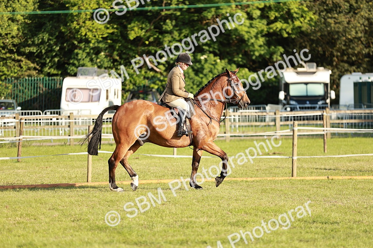 SBM_20439 - Class 117-119 - Sport Horse Working Hunter