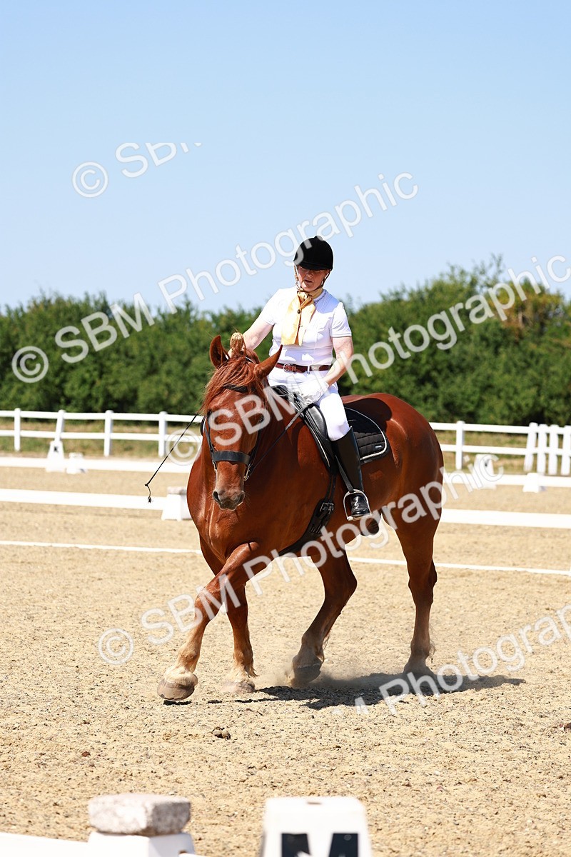 SBM_011813 - Intro 3 - 13.00-14.10