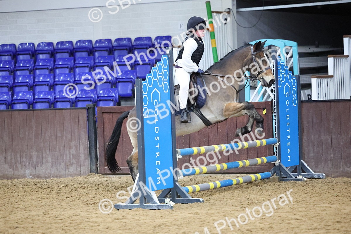 SBM_001055 - Class 3 - Christmas Tree Stakes - 60cm