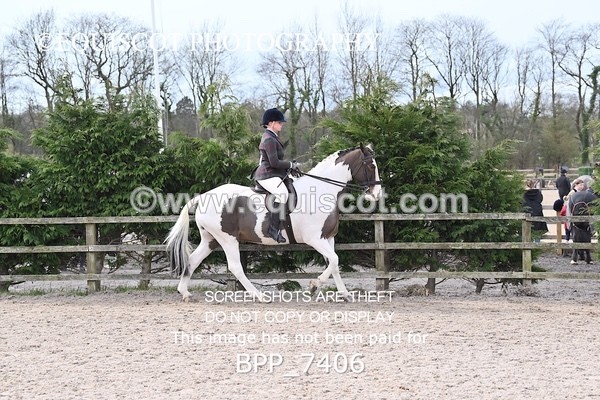 BPP_7406 - RING 1  (RIDDEN HORSES / IN HAND / VETERAN ETC)