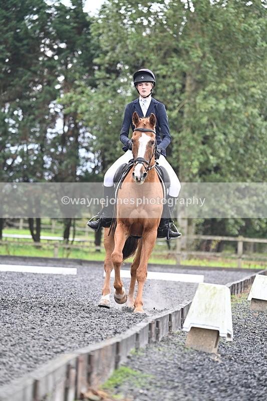 WJ7_6686 - Time 14:49 to 15:14