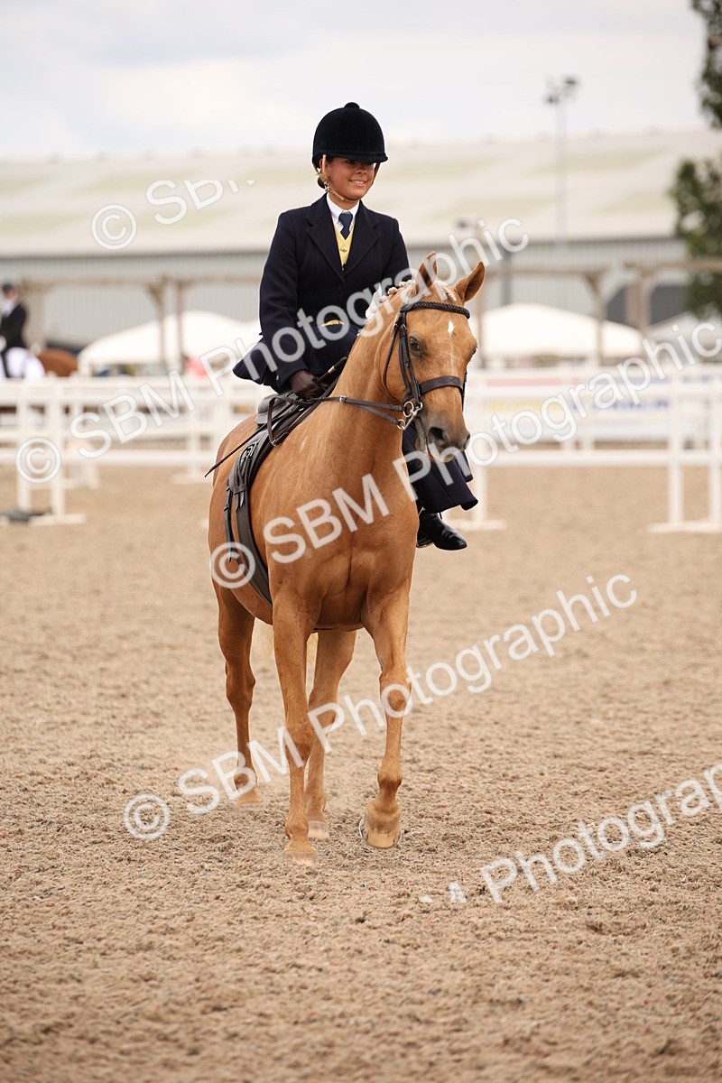 SBM_05434 - Class 22 SSA Equitation