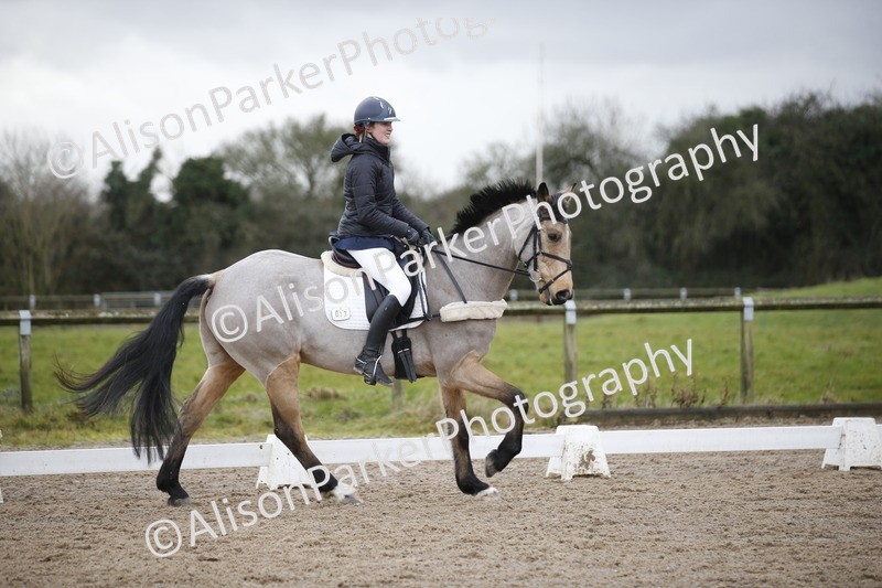 20260127-0391 - Class 17 - BD Novice 3