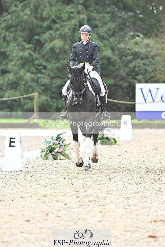 231019-103015-01883 - 101-RICARDO.COLOURS.II-Elizabeth.Wadey-DR