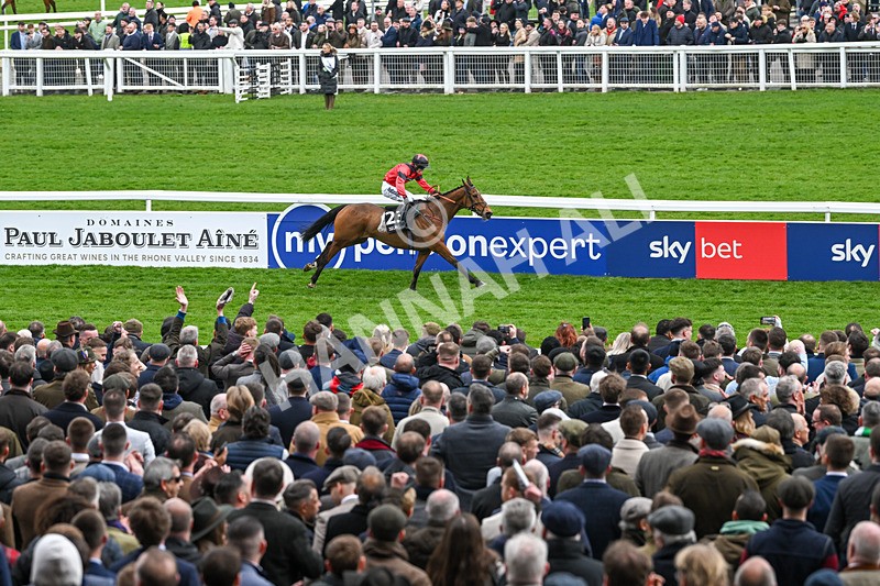 110325-Race 3-Myretown-2484 - 11th March