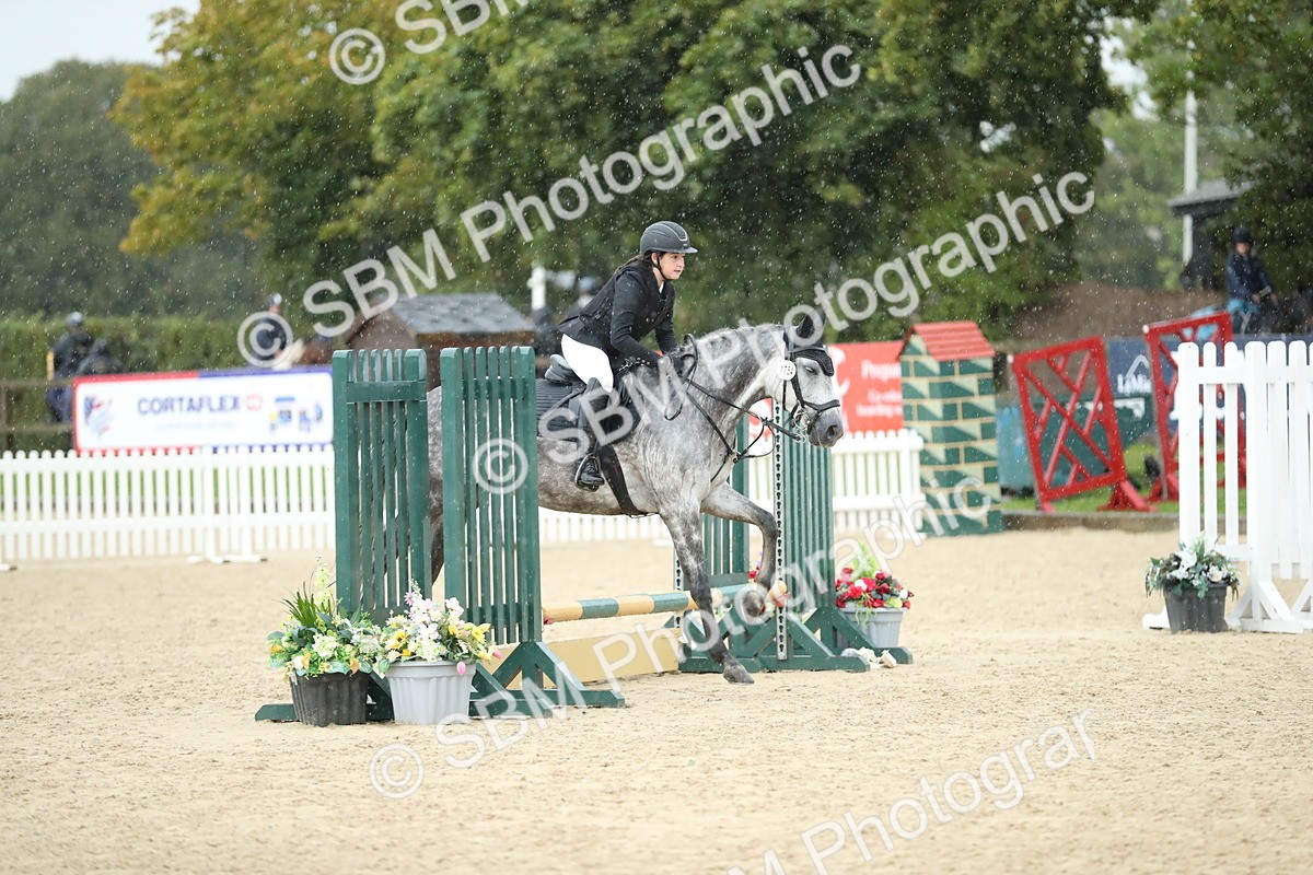 SBM_37130 - J20 - Junior Horse 50cm Championship