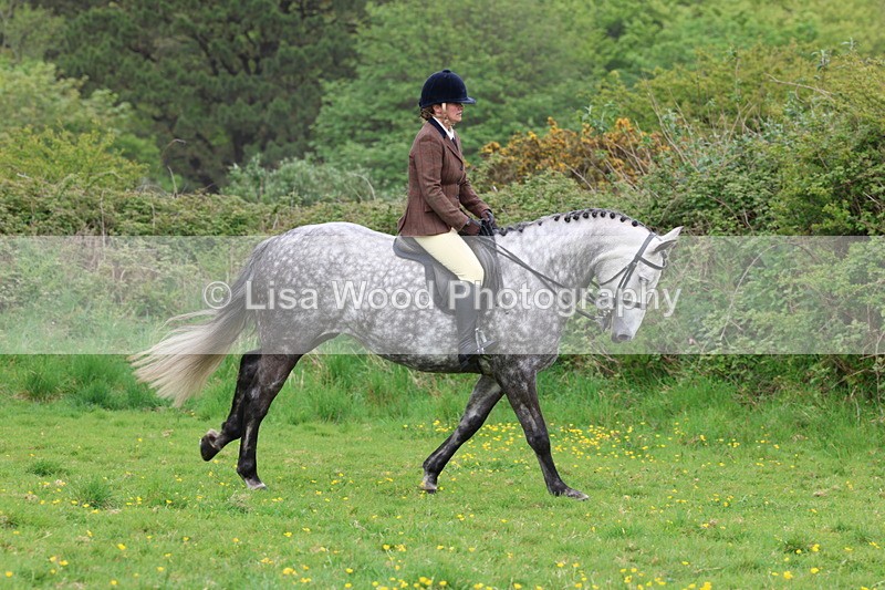 3E7A1756 - Class 9: Riding Club Horse/Pony