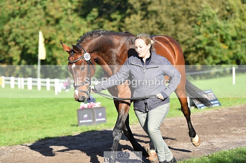 231022-103530-22591 - 491-CALCOURT.LEONARDO-Sophie.Westmore-TrotUp+SJ