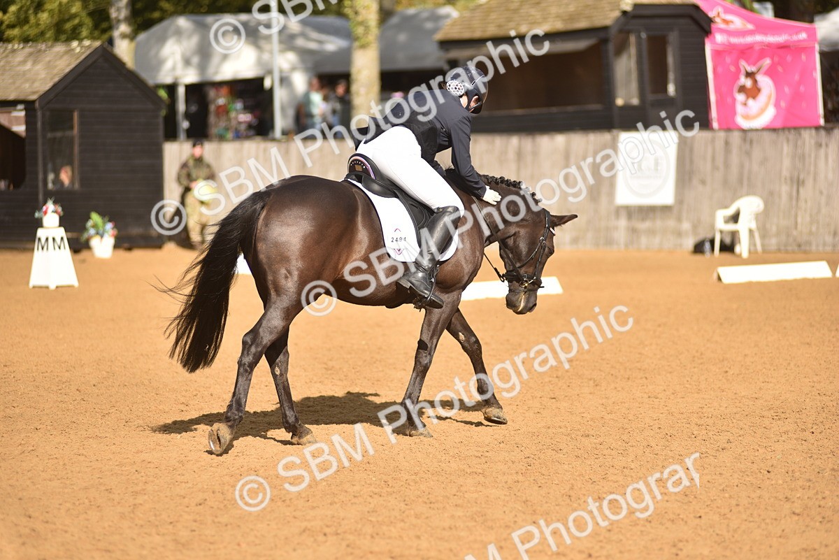 SBM_48905 - D22 - Junior Championship Intro 3