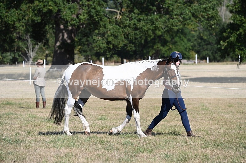 WJ6_4168 - Class 16 Condition & Turn Out